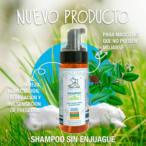 Shampoo sin enjuague Quillay, Aloe y Pantenol 160ml
